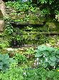2006-0602-1127-30.jpg